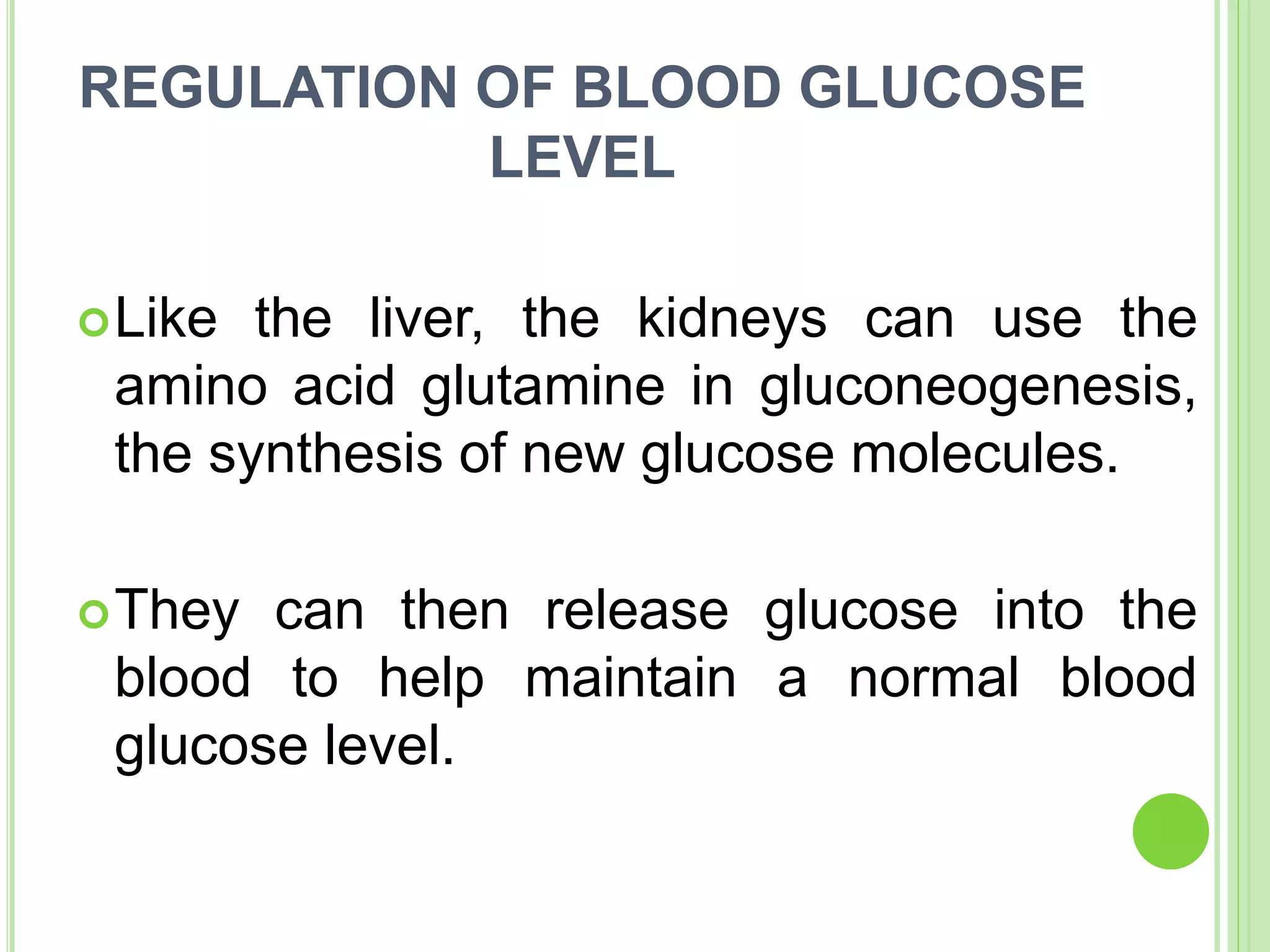 REGULATION OF BLOOD GLUCOSE
LEVEL
Like the liver, the kidneys can use the
amino acid glutamine in gluconeogenesis,
the synthesis of new glucose molecules.
They can then release glucose into the
blood to help maintain a normal blood
glucose level.
 