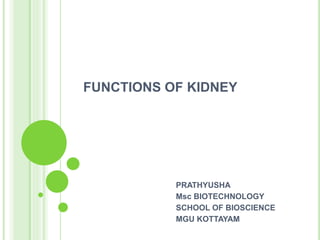 FUNCTIONS OF KIDNEY
PRATHYUSHA
Msc BIOTECHNOLOGY
SCHOOL OF BIOSCIENCE
MGU KOTTAYAM
 