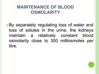 MAINTENANCE OF BLOOD
OSMOLARITY
By separately regulating loss of water and
loss of solutes in the urine, the kidneys
maintain a relatively constant blood
osmolarity close to 300 milliosmoles per
litre.
 