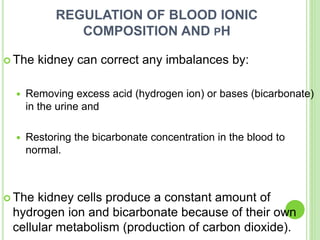 REGULATION OF BLOOD IONIC
COMPOSITION AND PH
 The kidney can correct any imbalances by:
 Removing excess acid (hydrogen ion) or bases (bicarbonate)
in the urine and
 Restoring the bicarbonate concentration in the blood to
normal.
 The kidney cells produce a constant amount of
hydrogen ion and bicarbonate because of their own
cellular metabolism (production of carbon dioxide).
 