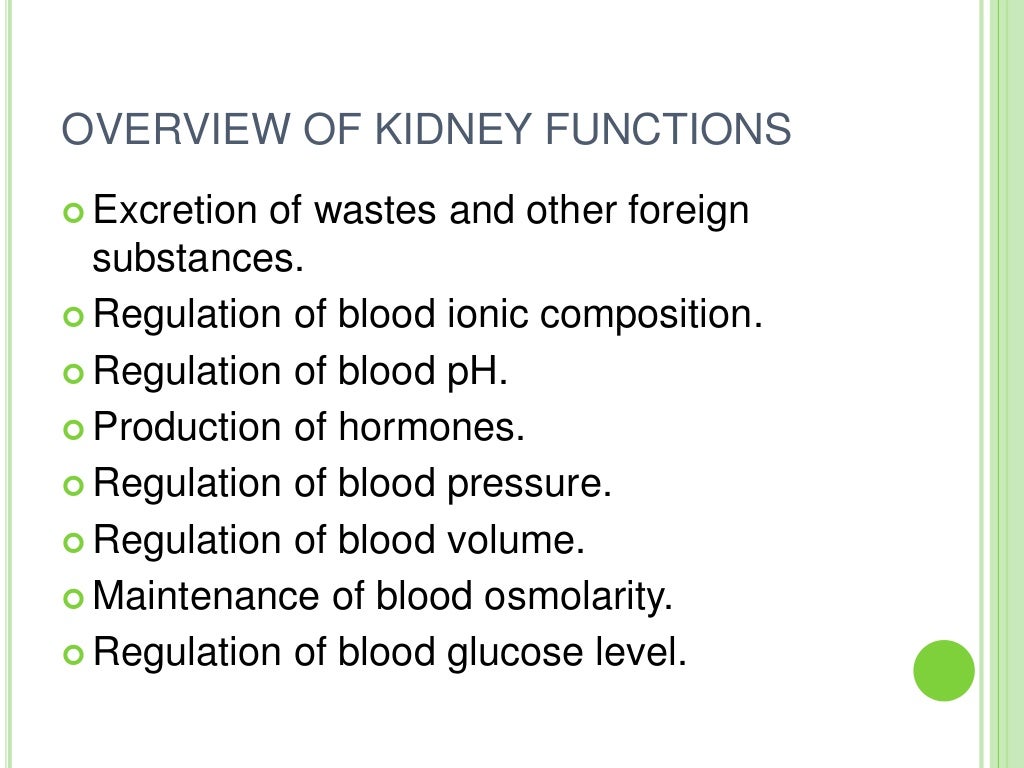 Functions of kidney