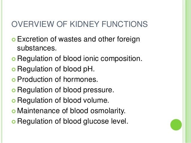 Functions Of Kidney