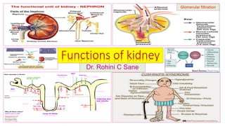 Functions of kidney
Dr. Rohini C Sane
Glomerular filtration
 