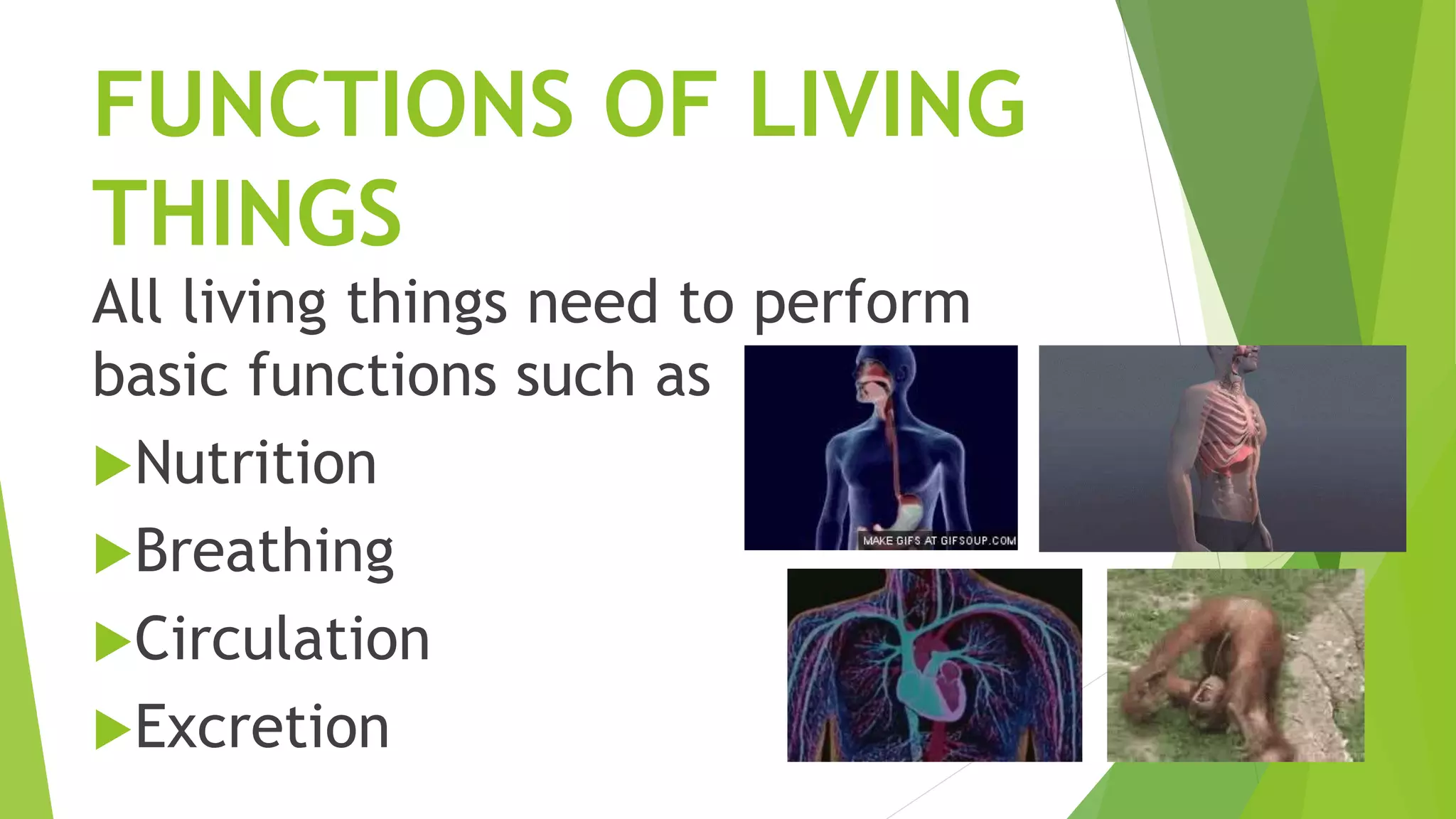 How Things Function Functions of living things-Nutrition | PPTX
