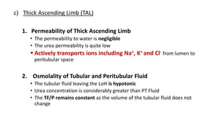 c) Thick Ascending Limb (TAL)
1. Permeability of Thick Ascending Limb
• The permeability to water is negligible
• The urea permeability is quite low
 Actively transports ions including Na+, K+ and Cl- from lumen to
peritubular space
2. Osmolality of Tubular and Peritubular Fluid
• The tubular fluid leaving the LoH is hypotonic
• Urea concentration is considerably greater than PT Fluid
• The TF/P remains constant as the volume of the tubular fluid does not
change
 