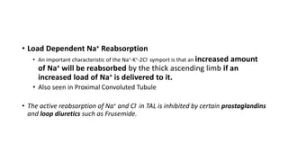 • Load Dependent Na+ Reabsorption
• An important characteristic of the Na+-K+-2Cl- symport is that an increased amount
of Na+ will be reabsorbed by the thick ascending limb if an
increased load of Na+ is delivered to it.
• Also seen in Proximal Convoluted Tubule
• The active reabsorption of Na+ and Cl- in TAL is inhibited by certain prostaglandins
and loop diuretics such as Frusemide.
 