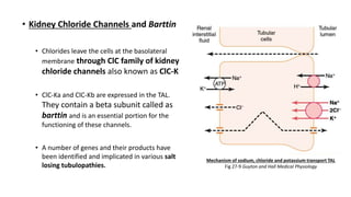 • Kidney Chloride Channels and Barttin
• Chlorides leave the cells at the basolateral
membrane through ClC family of kidney
chloride channels also known as ClC-K
• ClC-Ka and ClC-Kb are expressed in the TAL.
They contain a beta subunit called as
barttin and is an essential portion for the
functioning of these channels.
• A number of genes and their products have
been identified and implicated in various salt
losing tubulopathies.
Mechanism of sodium, chloride and potassium transport TAL
Fig 27-9 Guyton and Hall Medical Physiology
 