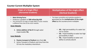 Counter Current Multiplier System
Origin of a Single Effect
(Horizontal Gradient)
Multiplication of the single effect
(Vertical Gradient)
• Main Driving Force.
• Produces a gradient of 200 mOsm/kg H20
• The mechanism of origin of single effect in outer medulla
is different from that of the inner medulla.
• The hyper-osmolality and medullary gradient is
generated by the multiplication of the single
effect by the countercurrent multiplier
Outer Medulla
1. Active addition of Na Cl through water
impermeable TAL
Inner Medulla
1. Passive transport of Sodium Ions from tAL
2. Active Transport of Sodium and Urea from the
CD into the medullary interstitium.
• tDL : High permeability of a water but
not to solutes
• tAL : Impermeability to water but high
permeability to NaCl
• TAL : Impermeability to water and
ability to actively absorb
 