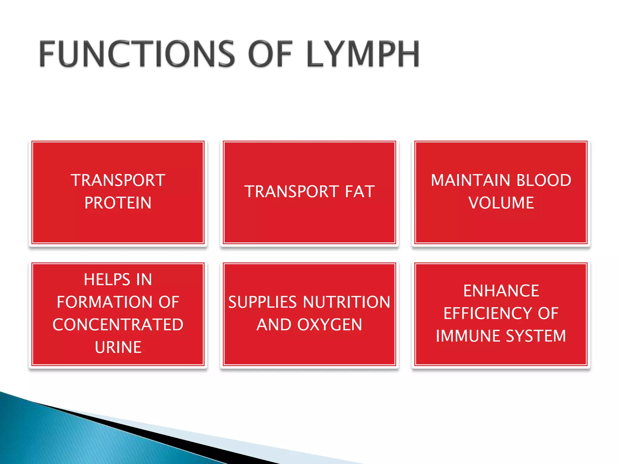 functions-of-lymph-ppt-free-download