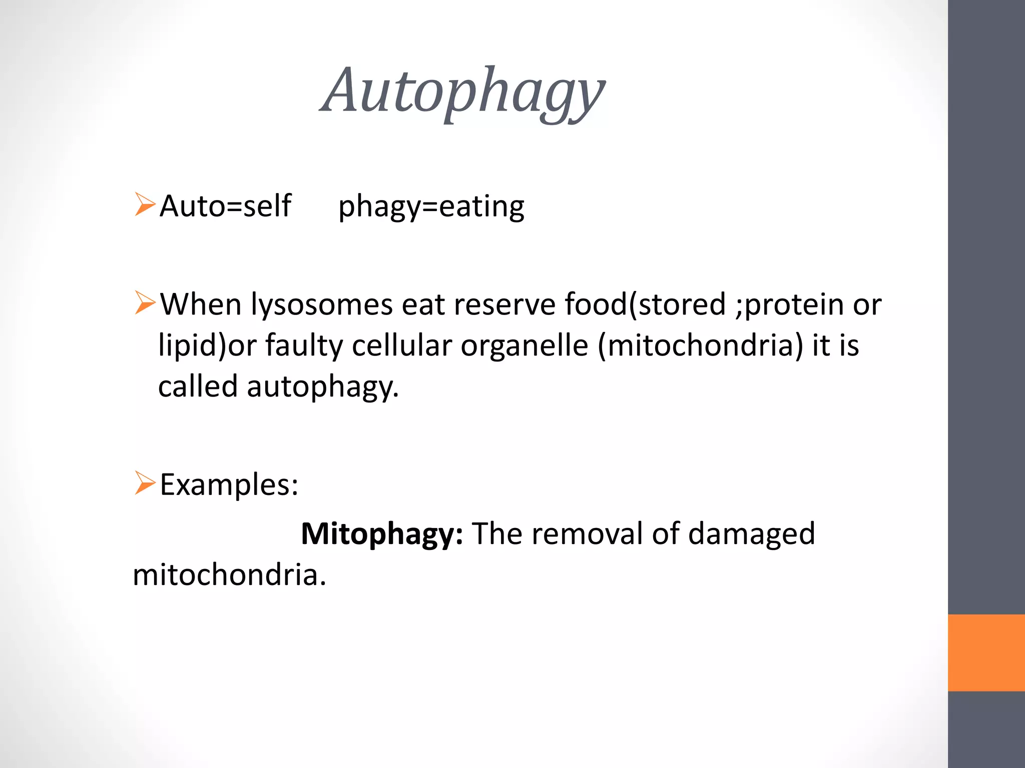 Functions of lysosomes.pptx