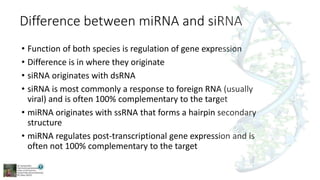Functions of micro RNA | PPTX | Biological Sciences | Science