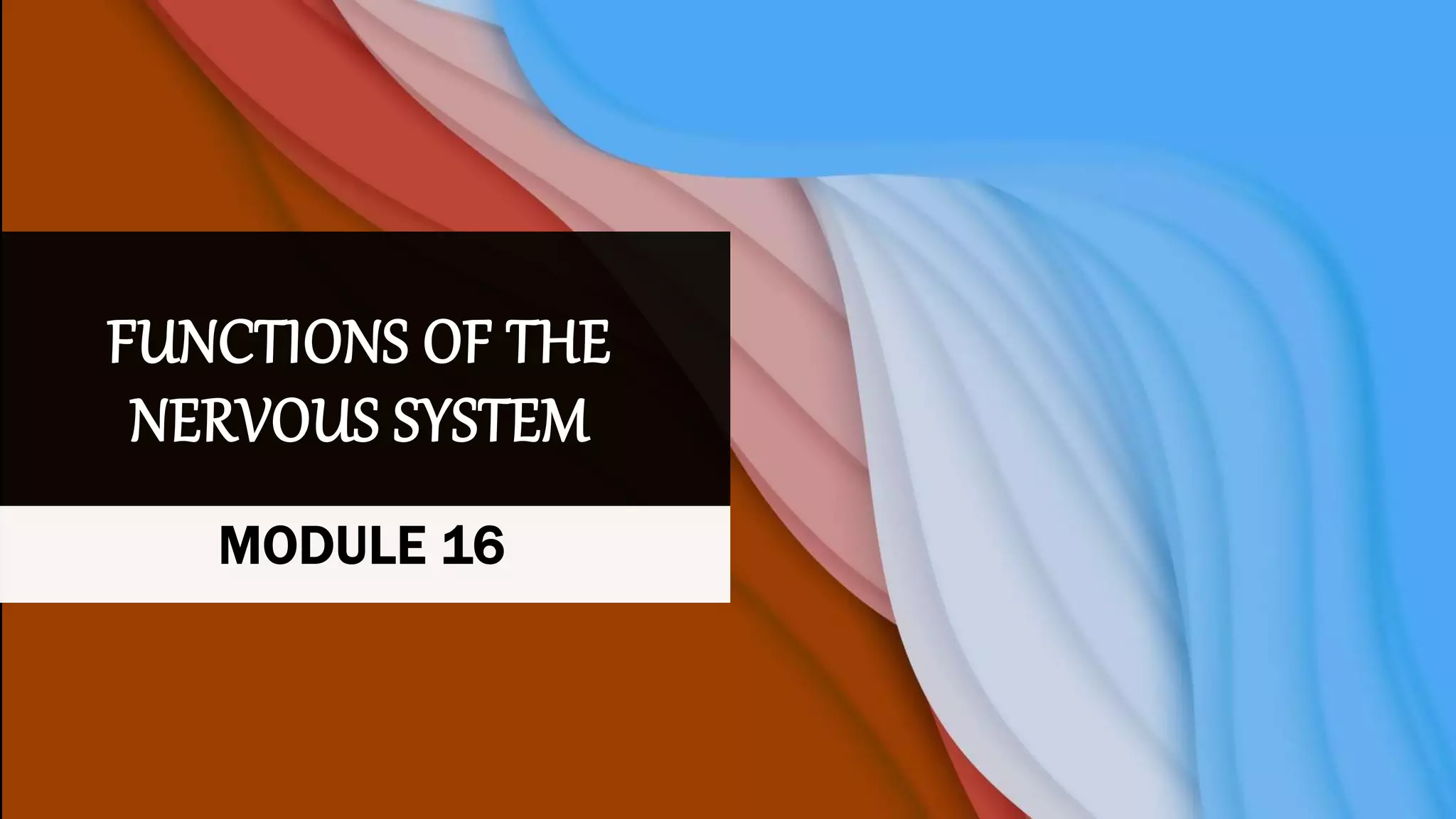 FUNCTIONS OF THE
NERVOUS SYSTEM
MODULE 16
 