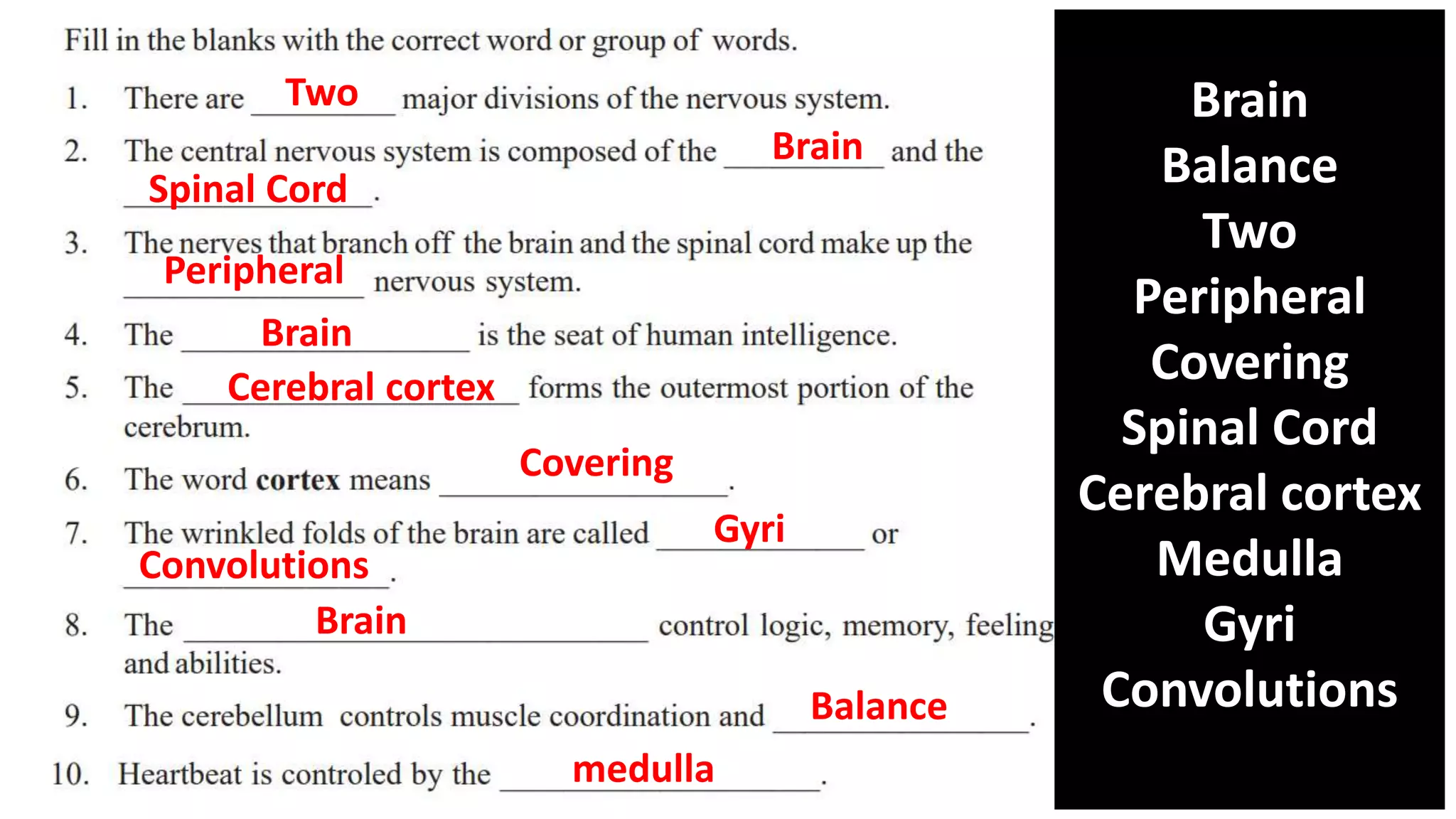 Brain
Balance
Two
Peripheral
Covering
Spinal Cord
Cerebral cortex
Medulla
Gyri
Convolutions
Two
Brain
Spinal Cord
Peripheral
Brain
Cerebral cortex
Covering
Gyri
Convolutions
Brain
Balance
medulla
 