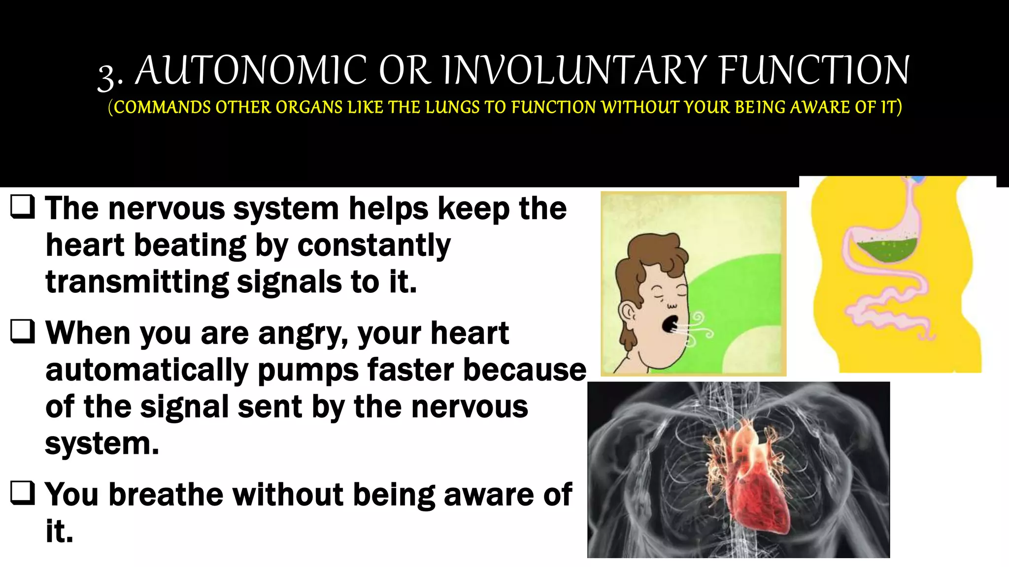 3. AUTONOMIC OR INVOLUNTARY FUNCTION
(COMMANDS OTHER ORGANS LIKE THE LUNGS TO FUNCTION WITHOUT YOUR BEING AWARE OF IT)
 The nervous system helps keep the
heart beating by constantly
transmitting signals to it.
 When you are angry, your heart
automatically pumps faster because
of the signal sent by the nervous
system.
 You breathe without being aware of
it.
 