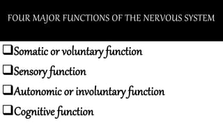 FOUR MAJOR FUNCTIONS OF THE NERVOUS SYSTEM
Somatic or voluntary function
Sensory function
Autonomic or involuntary function
Cognitive function
 