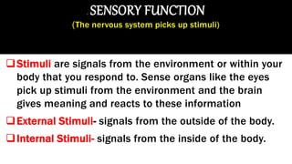 2. SENSORY FUNCTION
(The nervous system picks up stimuli)
Stimuli are signals from the environment or within your
body that you respond to. Sense organs like the eyes
pick up stimuli from the environment and the brain
gives meaning and reacts to these information
External Stimuli- signals from the outside of the body.
Internal Stimuli- signals from the inside of the body.
 
