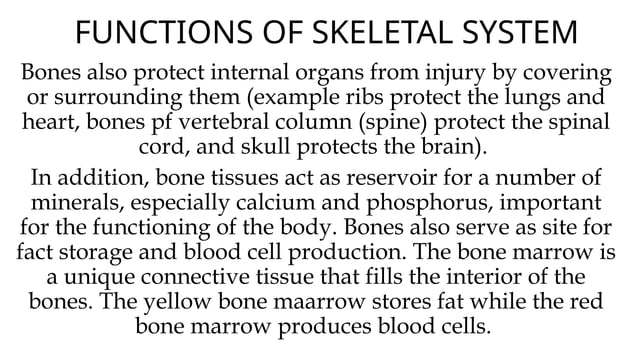 FUNCTIONS OF SKELETAL SYSTEM grade 4pptx | PPTX
