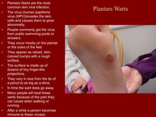 Plantars Warts
• Plantars Warts are the most
common skin viral infection.
• The virus (human papilloma
virus (HPV))invades the skin
cells and causes them to grow
abnormally.
• People commonly get the virus
from public swimming pools or
showers.
• They occur mostly on the plantar
or the soles of the feet.
• They appear as raised, skin-
colored bumps with a rough
surface.
• The surface is made up of
dozens of tiny finger-like
projections.
• They vary in size from the tip of
a pencil to as big as a dime.
• In time the wart does go away.
• Many people will treat these
warts because of the pain they
can cause when walking or
running.
• After a while a person becomes
immune to these viruses.
 