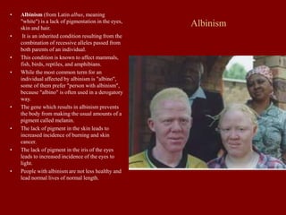 Albinism
• Albinism (from Latin albus, meaning
"white") is a lack of pigmentation in the eyes,
skin and hair.
• It is an inherited condition resulting from the
combination of recessive alleles passed from
both parents of an individual.
• This condition is known to affect mammals,
fish, birds, reptiles, and amphibians.
• While the most common term for an
individual affected by albinism is "albino",
some of them prefer "person with albinism",
because "albino" is often used in a derogatory
way.
• The gene which results in albinism prevents
the body from making the usual amounts of a
pigment called melanin.
• The lack of pigment in the skin leads to
increased incidence of burning and skin
cancer.
• The lack of pigment in the iris of the eyes
leads to increased incidence of the eyes to
light.
• People with albinism are not less healthy and
lead normal lives of normal length.
 
