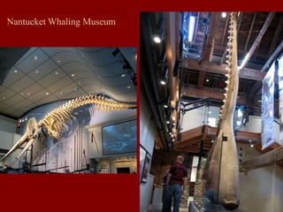 Nantucket Whaling Museum
 