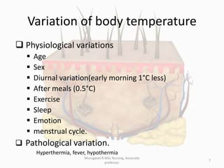 Functions of skin regulation of body temperature | PPTX