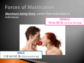 Maximum biting force varies from individual to
individual.
MALE
118 to142 lb (53.6 to 64.4 kg)
FEMALE
79 to 99 lb (35.8 to 44.9 kg)
 