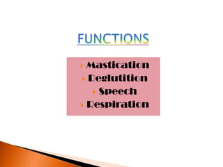  Mastication
 Deglutition
 Speech
 Respiration
 