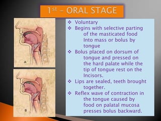  Voluntary
 Begins with selective parting
of the masticated food
Into mass or bolus by
tongue
 Bolus placed on dorsum of
tongue and pressed on
the hard palate while the
tip of tongue rest on the
Incisors.
 Lips are sealed, teeth brought
together.
 Reflex wave of contraction in
the tongue caused by
food on palatal mucosa
presses bolus backward.
 