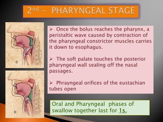  Once the bolus reaches the pharynx, a
peristaltic wave caused by contraction of
the pharyngeal constrictor muscles carries
it down to esophagus.
 The soft palate touches the posterior
pharyngeal wall sealing off the nasal
passages.
 Phrayngeal orifices of the eustachian
tubes open
Oral and Pharyngeal phases of
swallow together last for 1s.
 