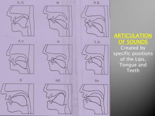 ARTICULATION
OF SOUNDS
Created by
specific positions
of the Lips,
Tongue and
Teeth
 