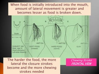 When food is initially introduced into the mouth,
amount of lateral movement is greater and
becomes lesser as food is broken down.
The harder the food, the more
lateral the closure strokes
become and the more chewing
strokes needed
Chewing Stroke
FRONTAL VIEW
 