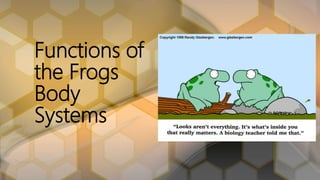 Functions of
the Frogs
Body
Systems
 