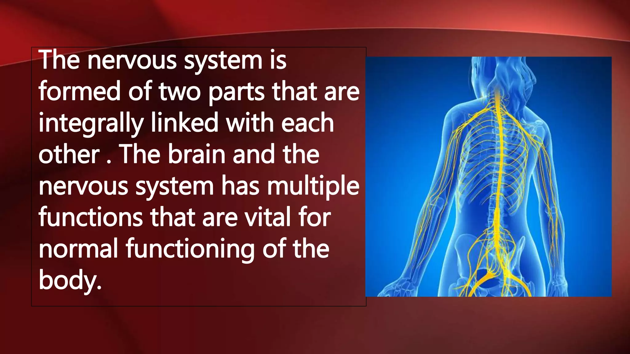 The nervous system is
formed of two parts that are
integrally linked with each
other . The brain and the
nervous system has multiple
functions that are vital for
normal functioning of the
body.