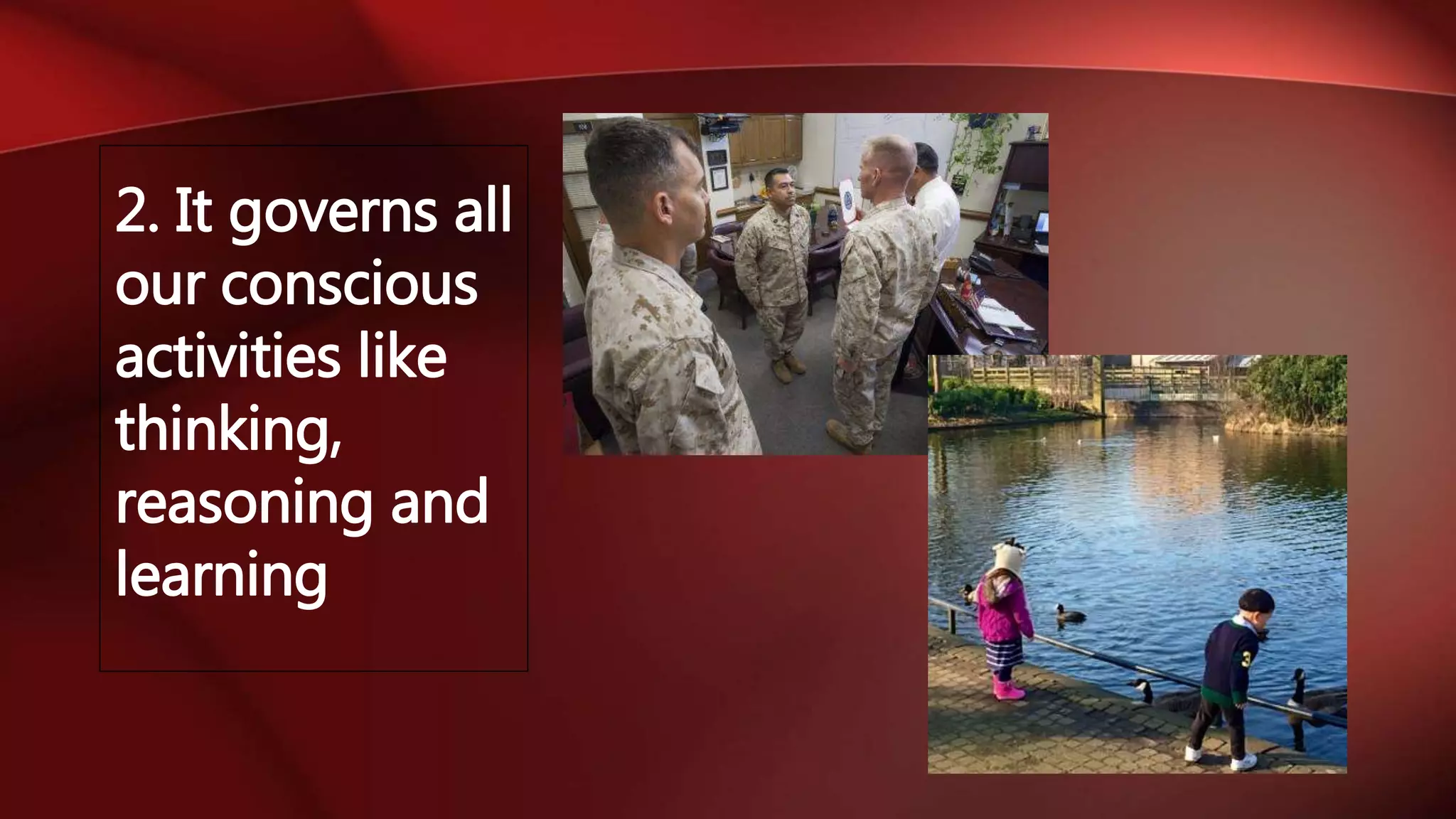 2. It governs all
our conscious
activities like
thinking,
reasoning and
learning