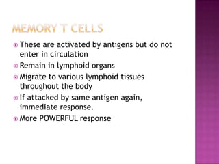  These are activated by antigens but do not
enter in circulation
 Remain in lymphoid organs
 Migrate to various lymphoid tissues
throughout the body
 If attacked by same antigen again,
immediate response.
 More POWERFUL response
 