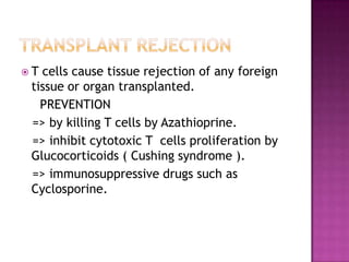  T cells cause tissue rejection of any foreign
tissue or organ transplanted.
PREVENTION
=> by killing T cells by Azathioprine.
=> inhibit cytotoxic T cells proliferation by
Glucocorticoids ( Cushing syndrome ).
=> immunosuppressive drugs such as
Cyclosporine.
 