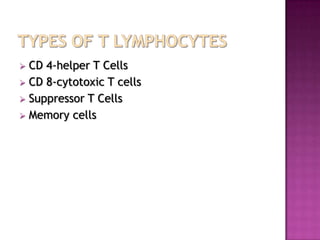  CD 4-helper T Cells
 CD 8-cytotoxic T cells
 Suppressor T Cells
 Memory cells
 