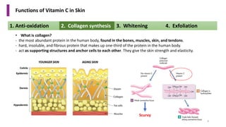 Functions of Vitamin C Dervatives in Personal Care | PPTX