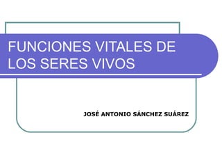 FUNCIONES VITALES DE
LOS SERES VIVOS


         JOSÉ ANTONIO SÁNCHEZ SUÁREZ
 