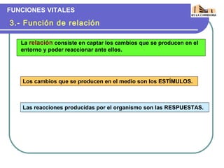 FUNCIONES VITALES

3.- Función de relación

   La relación consiste en captar los cambios que se producen en el
   entorno y poder reaccionar ante ellos.




   Los cambios que se producen en el medio son los ESTÍMULOS.



   Las reacciones producidas por el organismo son las RESPUESTAS.
 