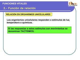 FUNCIONES VITALES

3.- Función de relación

  RELACIÓN EN ORGANISMOS UNICELULARES

   Los organismos unicelulares responden a estímulos de luz,
   temperatura o químicos.

    Si las respuestas a estos estímulos son movimientos se
    denominan TACTISMOS.
 