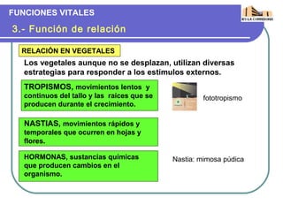 FUNCIONES VITALES

3.- Función de relación

  RELACIÓN EN VEGETALES
   Los vegetales aunque no se desplazan, utilizan diversas
   estrategias para responder a los estímulos externos.
   TROPISMOS, movimientos lentos y
   continuos del tallo y las raíces que se            fototropismo
   producen durante el crecimiento.

   NASTIAS, movimientos rápidos y
   temporales que ocurren en hojas y
   flores.

   HORMONAS, sustancias químicas             Nastia: mimosa púdica
   que producen cambios en el
   organismo.
 