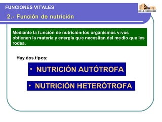 FUNCIONES VITALES

2.- Función de nutrición

  Mediante la función de nutrición los organismos vivos
  obtienen la materia y energía que necesitan del medio que les
  rodea.


   Hay dos tipos:

          • NUTRICIÓN AUTÓTROFA

         • NUTRICIÓN HETERÓTROFA
 