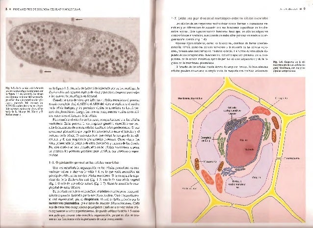 Introduccion A La Biologia Celular Alberts Pdf Descargar Pdf