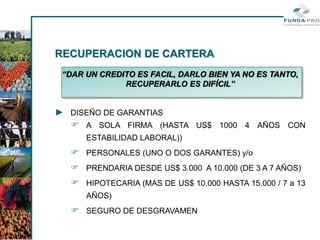 RECUPERACION DE CARTERA
 “DAR UN CREDITO ES FACIL, DARLO BIEN YA NO ES TANTO,
              RECUPERARLO ES DIFÍCIL”


► DISEÑO DE GARANTIAS
   A SOLA FIRMA (HASTA US$ 1000 4 AÑOS CON
      ESTABILIDAD LABORAL))
   PERSONALES (UNO O DOS GARANTES) y/o
   PRENDARIA DESDE US$ 3.000 A 10.000 (DE 3 A 7 AÑOS)
   HIPOTECARIA (MAS DE US$ 10.000 HASTA 15.000 / 7 a 13
      AÑOS)
   SEGURO DE DESGRAVAMEN
 