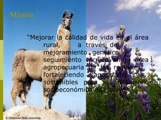 <ul><li>“Mejorar la calidad de vida en el área  rural,  a través del  mejoramiento genético y  seguimiento técnico en el á...