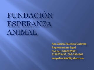 Ana María Palencia Cabrera
Representante legal
Celular: 3165275971-
3188278437. 095-3824862
anapalencia53@yahoo.com
1
 