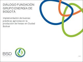 DIÁLOGO FUNDACIÓN
GRUPO ENERGÍA DE
BOGOTÁ

Implementación de buenas
prácticas agrícolas en la
producción de fresas en Ciudad
Bolívar




                                 11/11
 