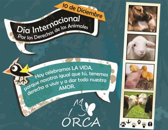 Fundación ORCA - Declaración Universal de los Derechos del Animal