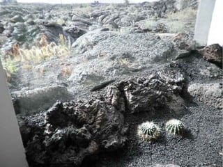 Fundacion Cesar Manrique